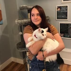 Meet your Posher, Katie